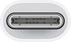 Apple USB-C on Lightning adapter adapter