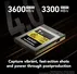 Lexar Professional GOLD 4.0 R3600/W3300 CFexpress Type B 1TB